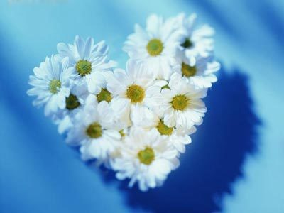 Diez claves para tratar esa locura que llamamos Amor